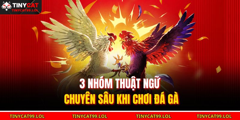3 nhóm thuật ngữ chuyên sâu khi chơi đá gà