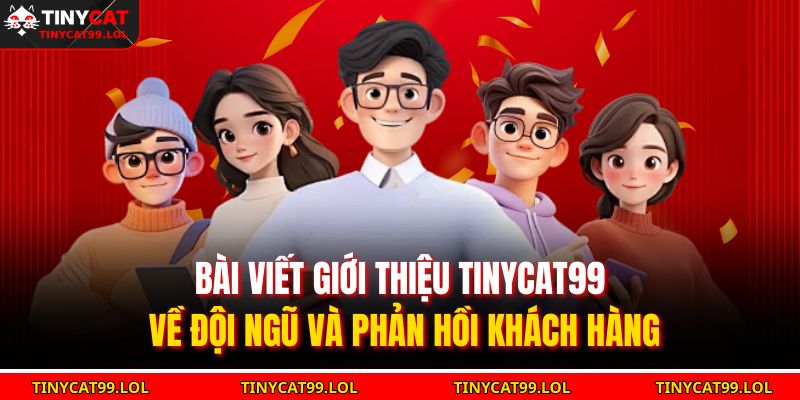 Bài viết giới thiệu TINYCAT99 về đội ngũ và phản hồi khách hàng