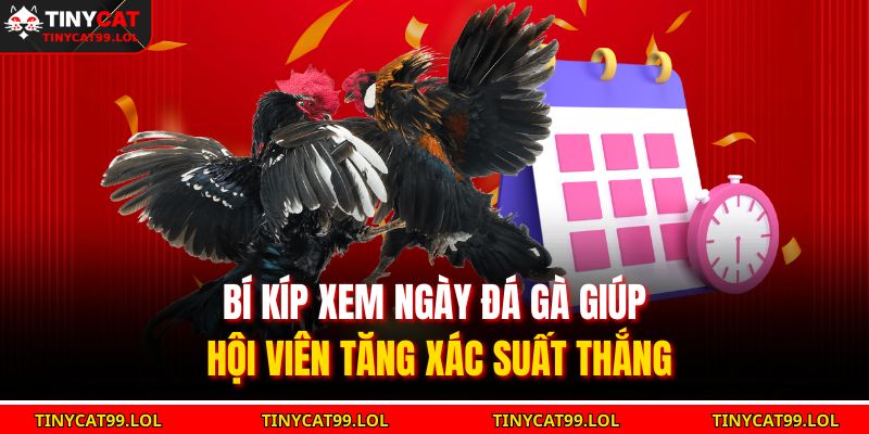 Bí kíp xem ngày đá gà giúp hội viên tăng xác suất thắng