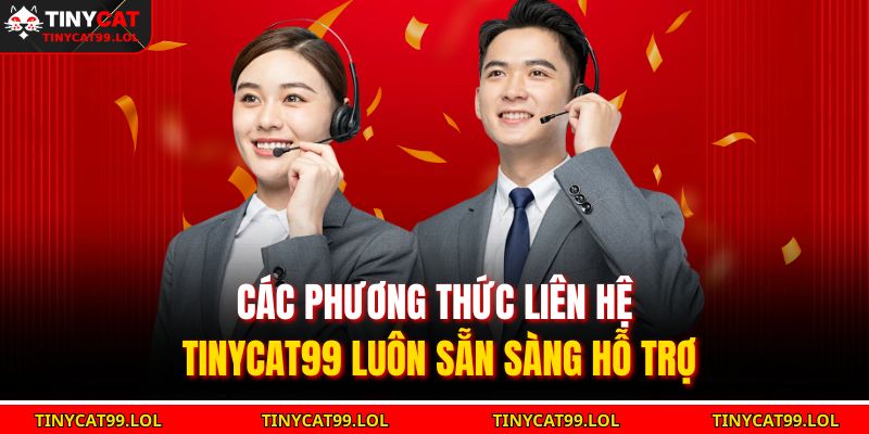 Các phương thức liên hệ TINYCAT99 luôn sẵn sàng hỗ trợ