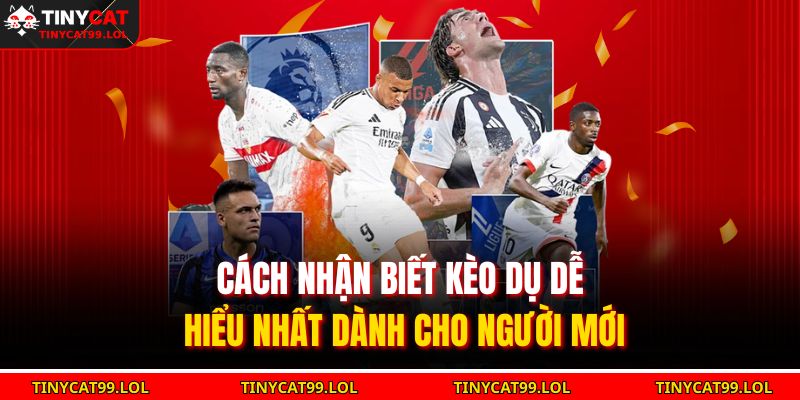 Cách Nhận Biết Kèo Dụ