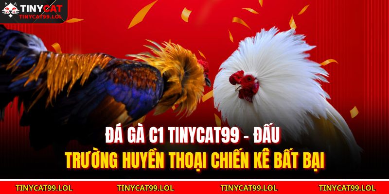 Đá gà C1 TINYCAT99