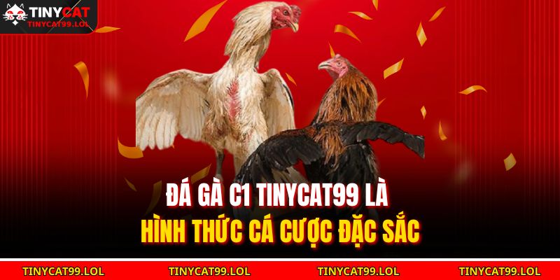 Đá gà C1 TINYCAT99 là hình thức cá cược đặc sắc