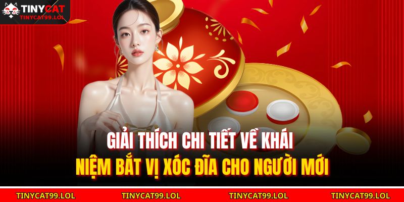 Bắt Vị Xóc Đĩa 3D – Trải Nghiệm Cảm Giác Chơi Đỉnh Cao 2 Giải thích chi tiết về khái niệm bắt vị xóc đĩa cho người mới