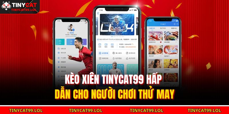 Kèo xiên TINYCAT99