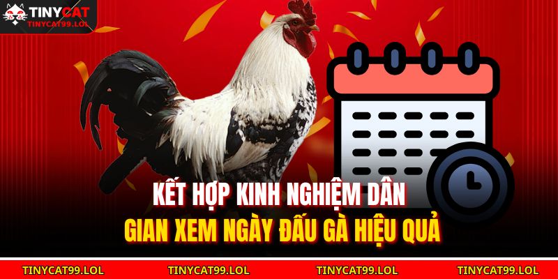 Kết hợp kinh nghiệm dân gian xem ngày đấu gà hiệu quả