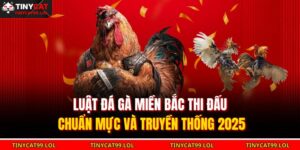 Luật Đá Gà Miền Bắc Thi Đấu Chuẩn Mực Và Truyền Thống 2025 13 Luật đá gà miền Bắc