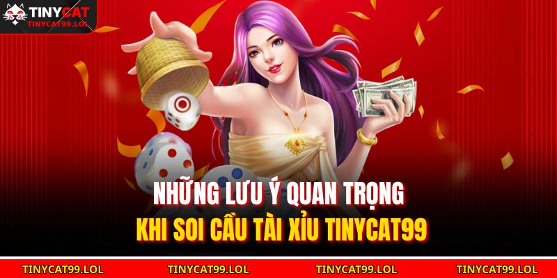 Những lưu ý quan trọng khi Soi cầu tài xỉu TINYCAT99