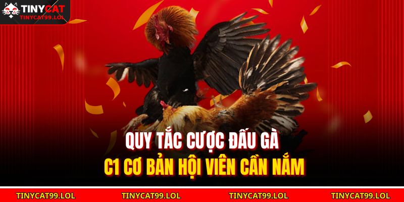 Quy tắc cược đấu gà C1 cơ bản hội viên cần nắm