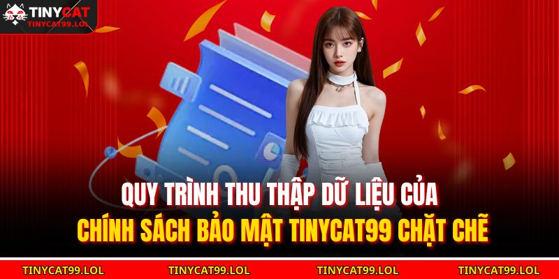 Quy trình thu thập dữ liệu của chính sách bảo mật TINYCAT99 chặt chẽ