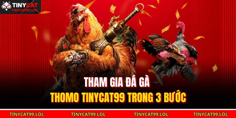 Đá Gà Thomo TINYCAT99 – Trải Nghiệm Đỉnh Cao Đấu Trường 3 Tham gia đá gà Thomo TINYCAT99 trong 3 bước