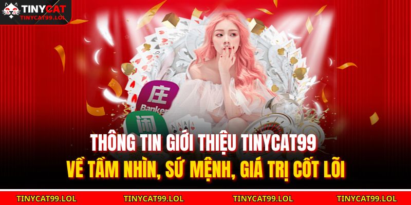Thông tin giới thiệu TINYCAT99 về tầm nhìn, sứ mệnh, giá trị cốt lõi