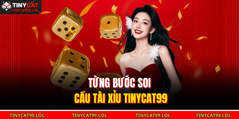 Từng bước soi cầu tài xỉu TINYCAT99